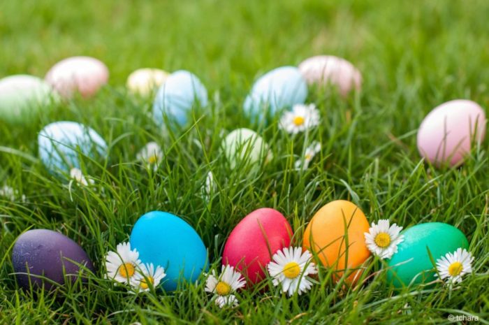 Chasse aux œufs pour les enfants de 3 à 9 ans du personnel des HCC organisée par les Hôpitaux Civils de Colmar et son Amicale le Mercredi 5 avril 2023 de 14H à 16H dans le parc du Centre pour Personnes Agées.
